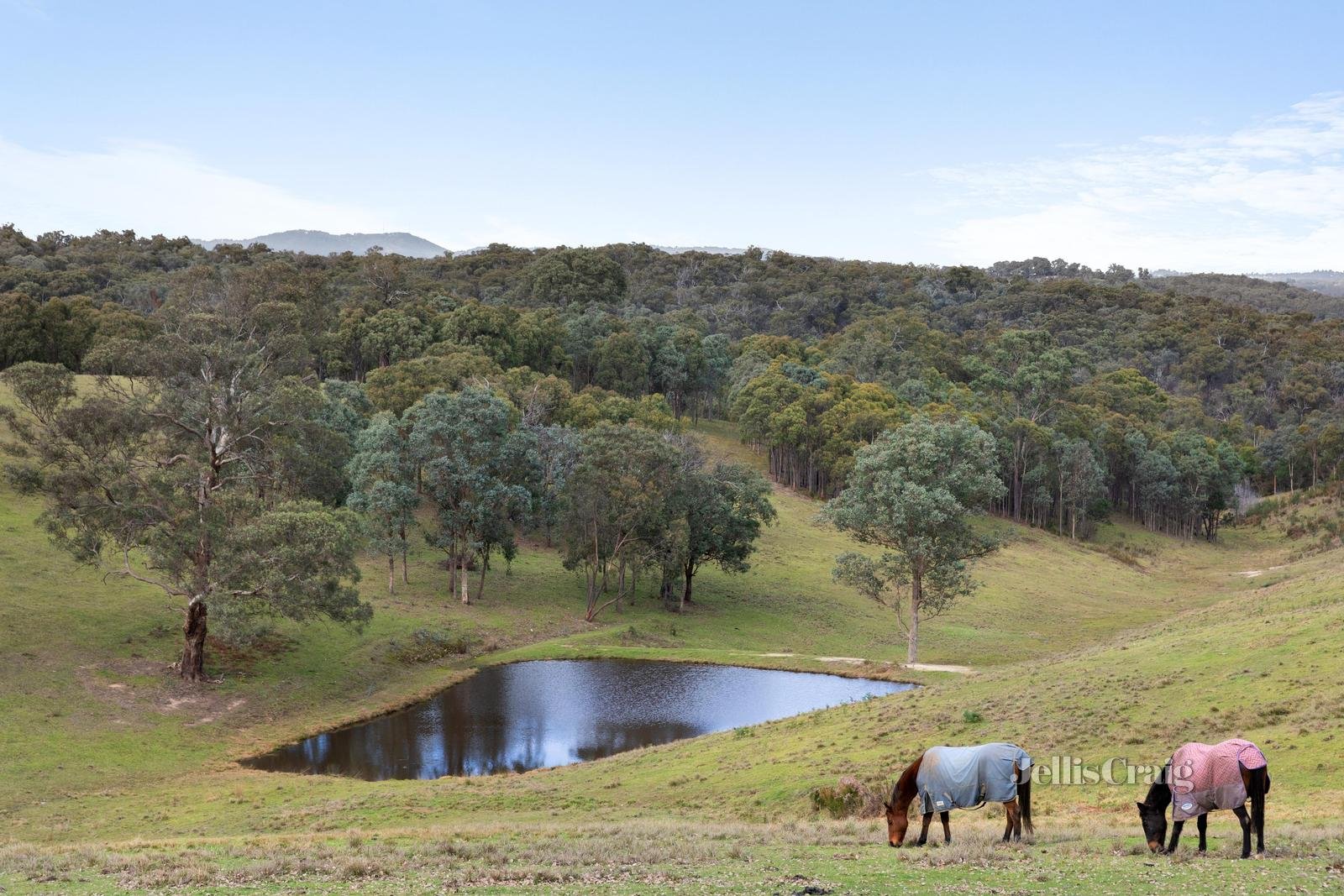 235 Motschall Road, Panton Hill image 2