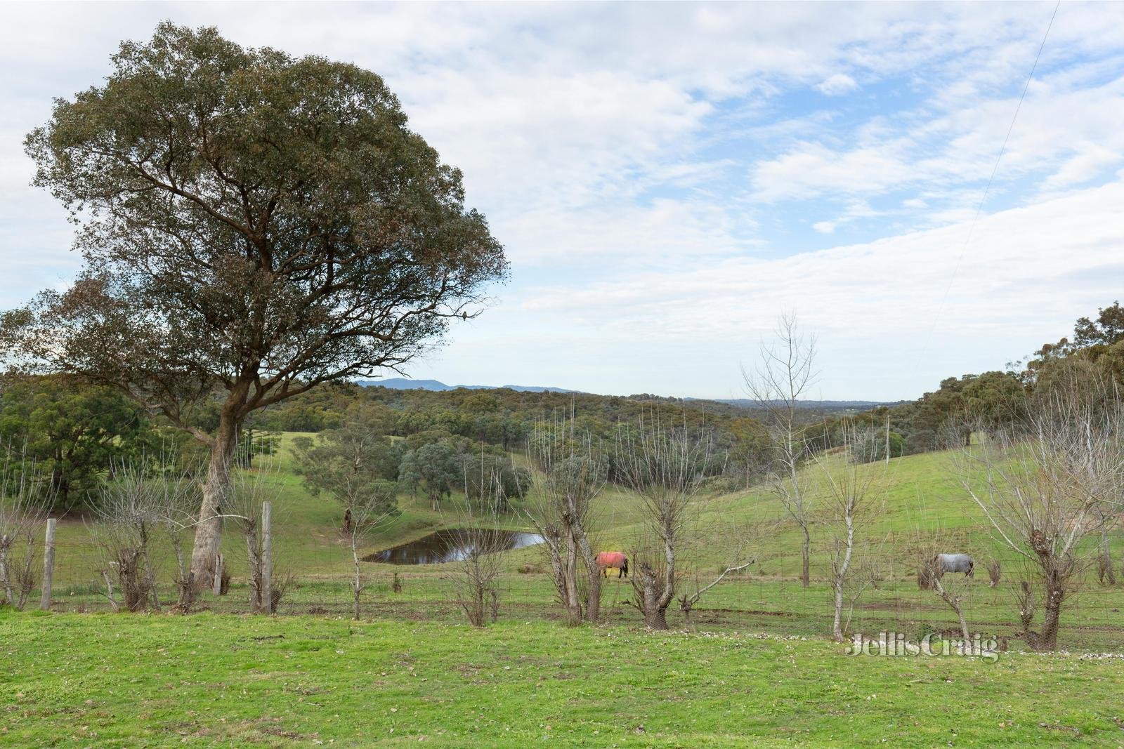 235 Motschall Road, Panton Hill image 10