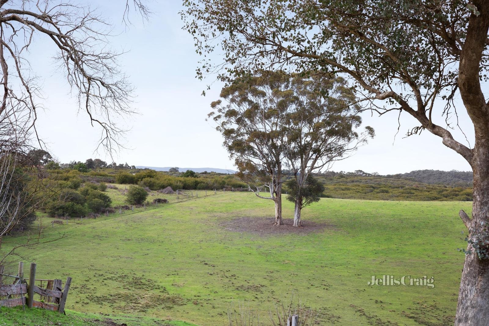 235 Motschall Road, Panton Hill image 12