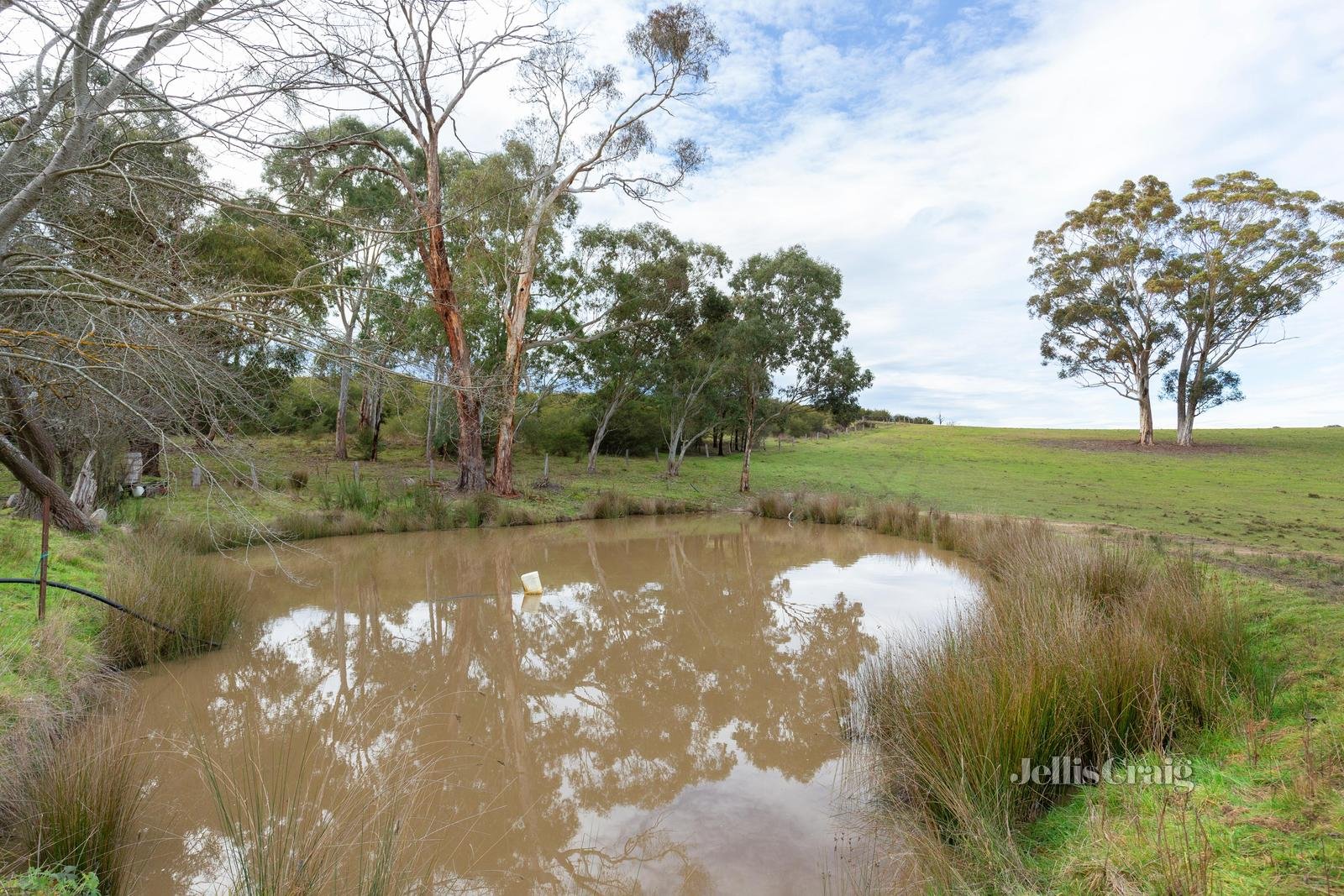 235 Motschall Road, Panton Hill image 13