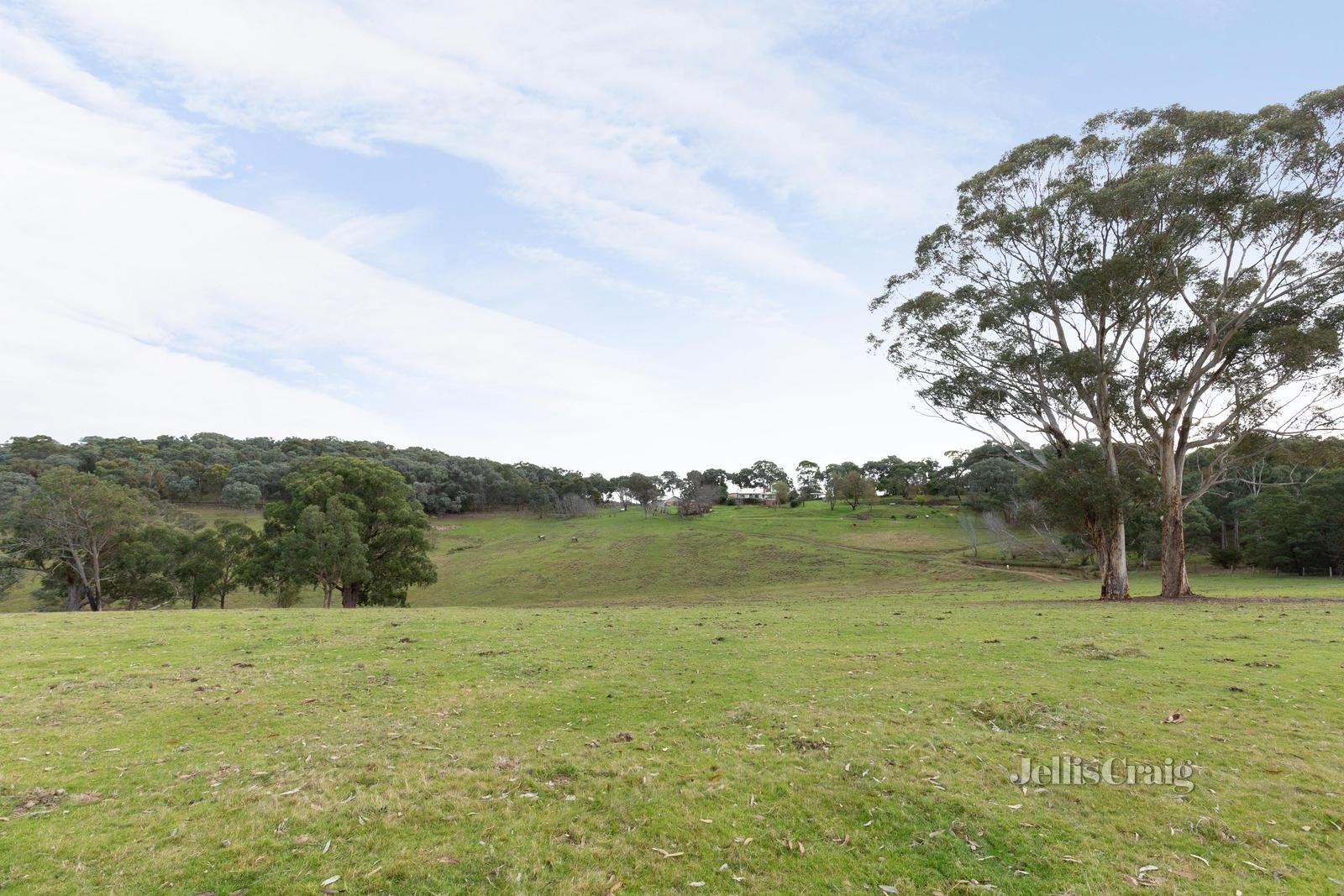 235 Motschall Road, Panton Hill image 14