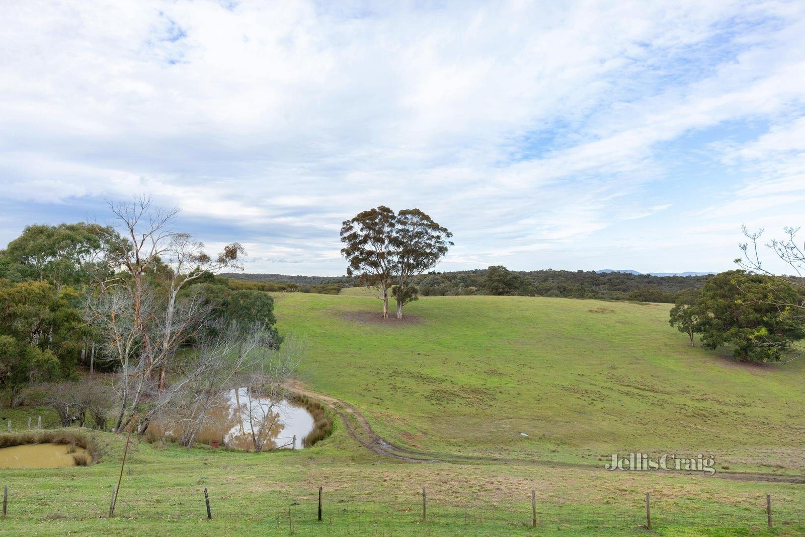 235 Motschall Road, Panton Hill image 16