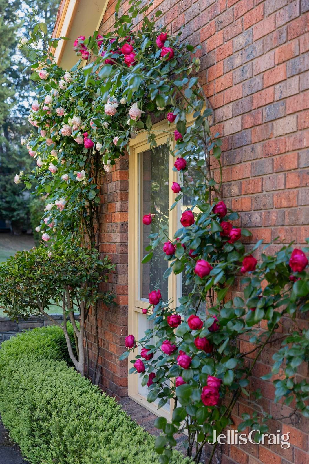 236-238 Porter Street, Templestowe image 16