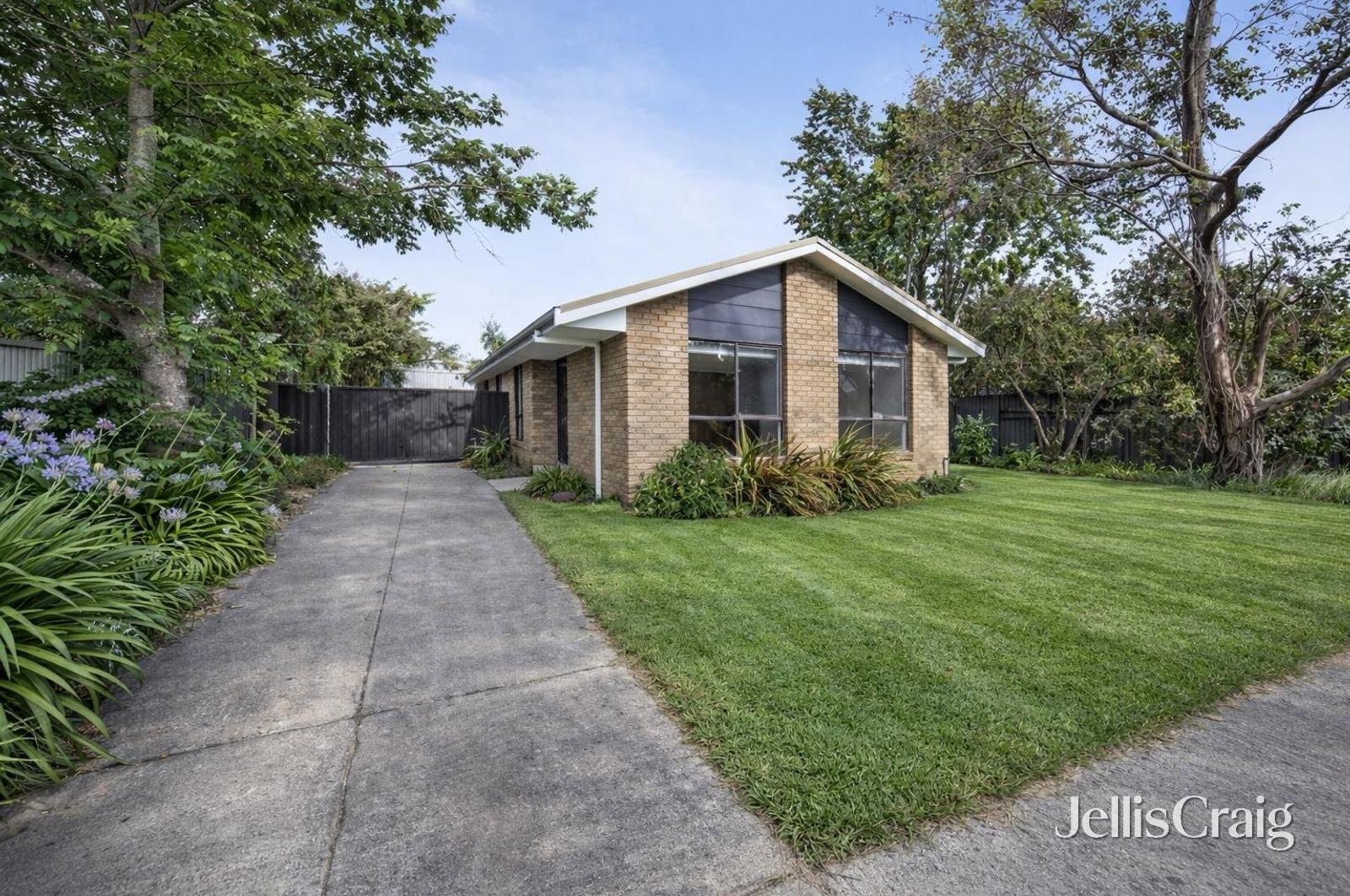 237 Kline Street, Ballarat&nbsp;East image 7