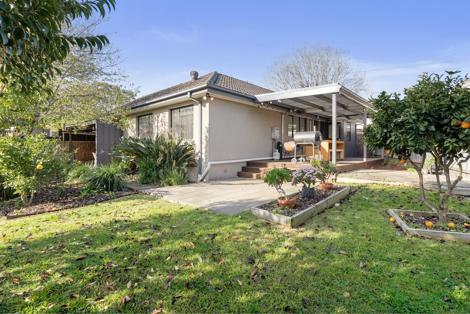 239 Chesterville Road, Moorabbin image 4