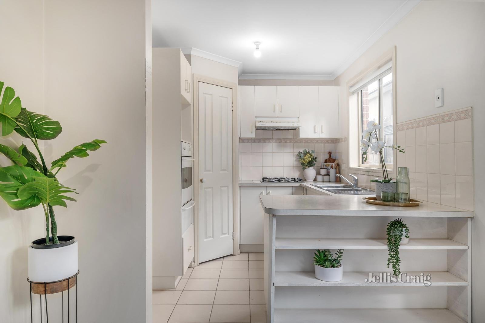 2/39 Evelyn Street, Clayton image 3