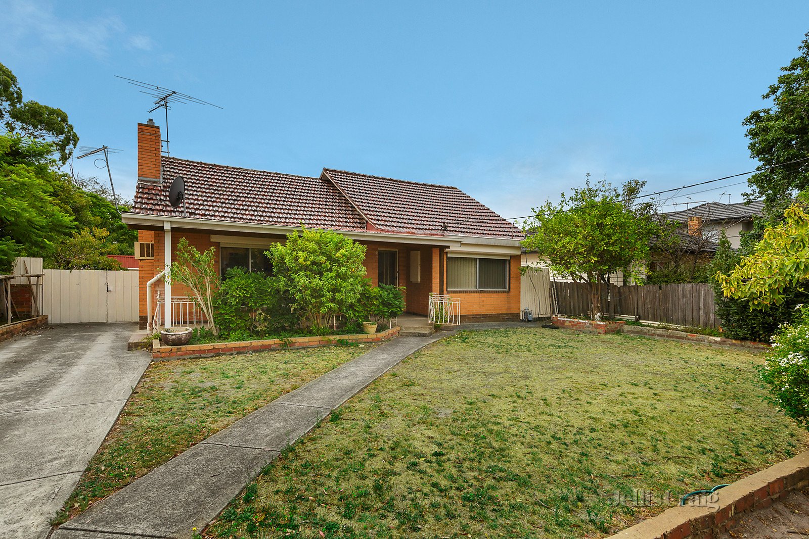 24 Coane Street, Oakleigh East image 3