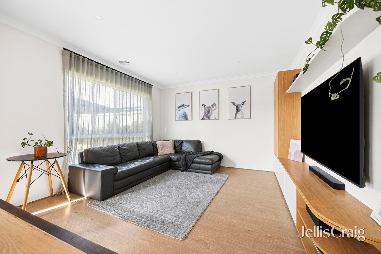 24 Codrington Street, Charlemont image 4