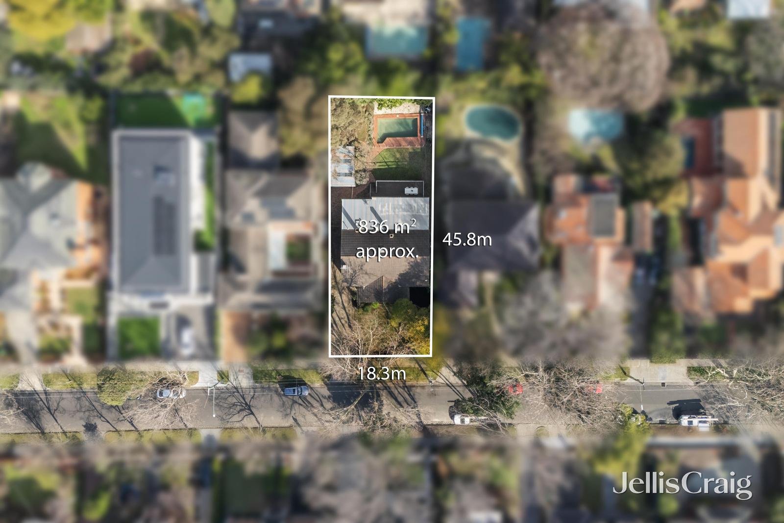 24 Currajong Avenue, Camberwell image 9
