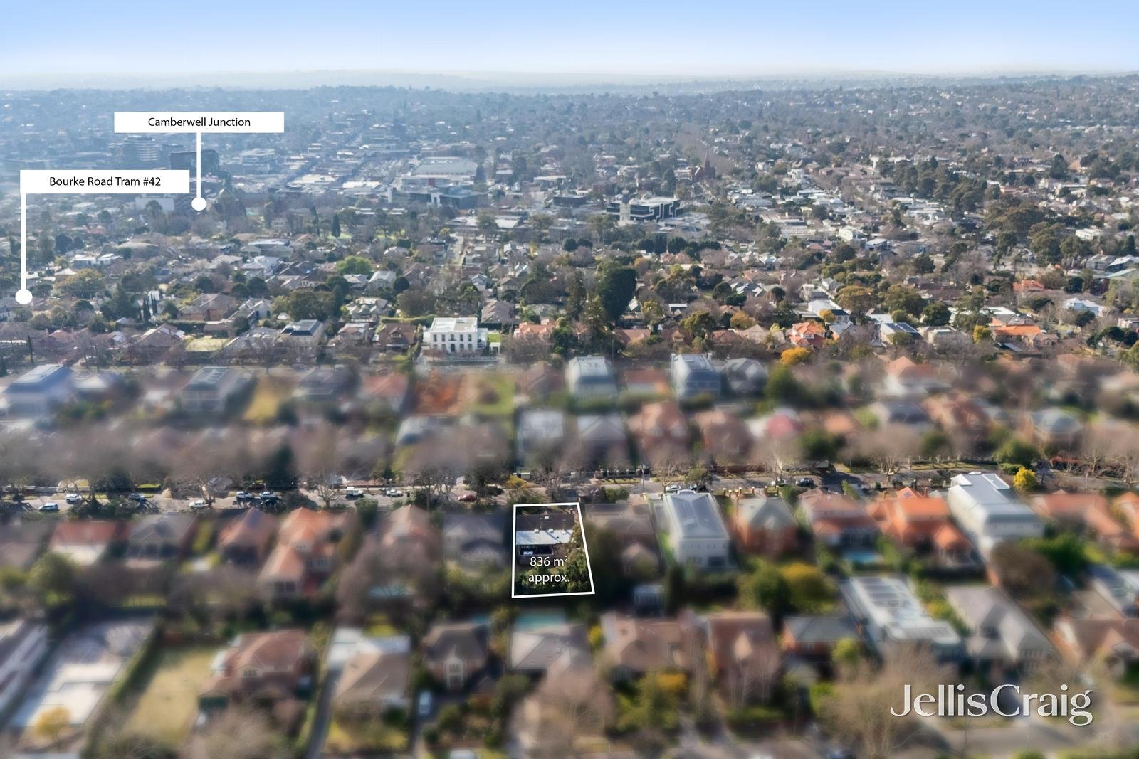 24 Currajong Avenue, Camberwell image 10