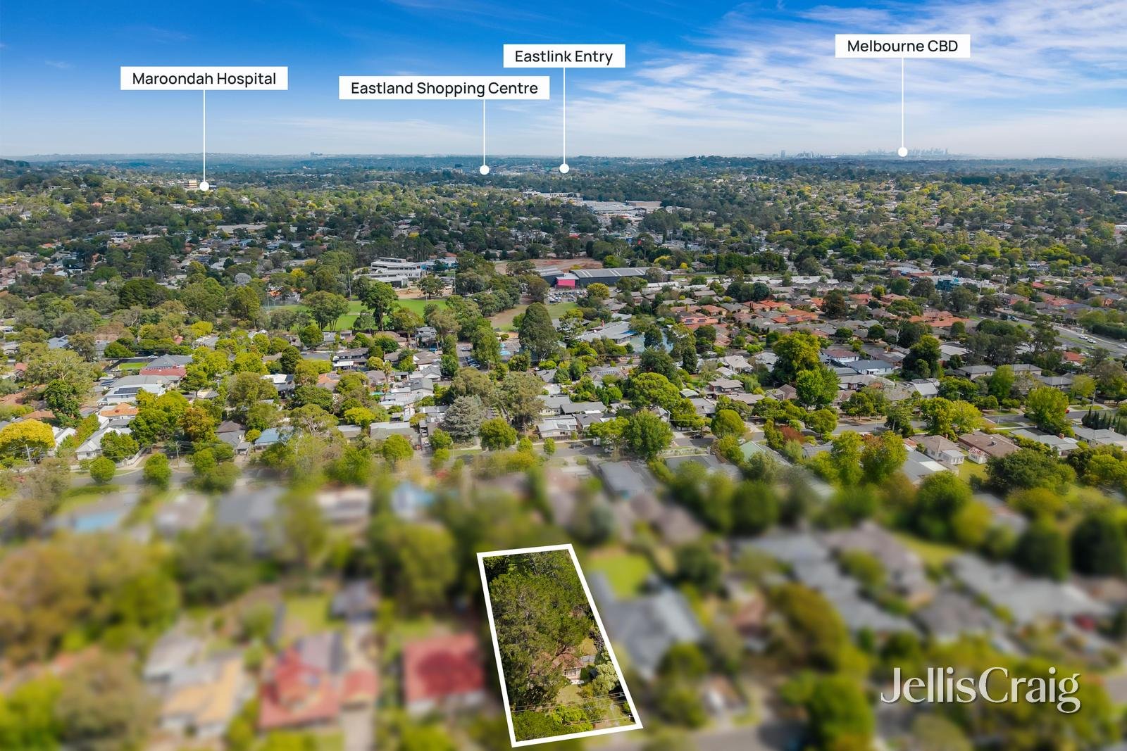 24 Gladys Grove, Croydon image 5