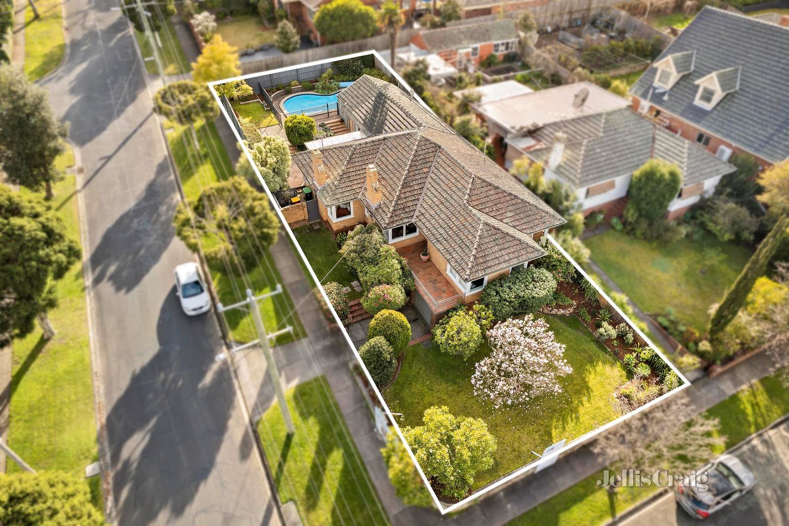 24 Goodwood Street, Surrey Hills image 1