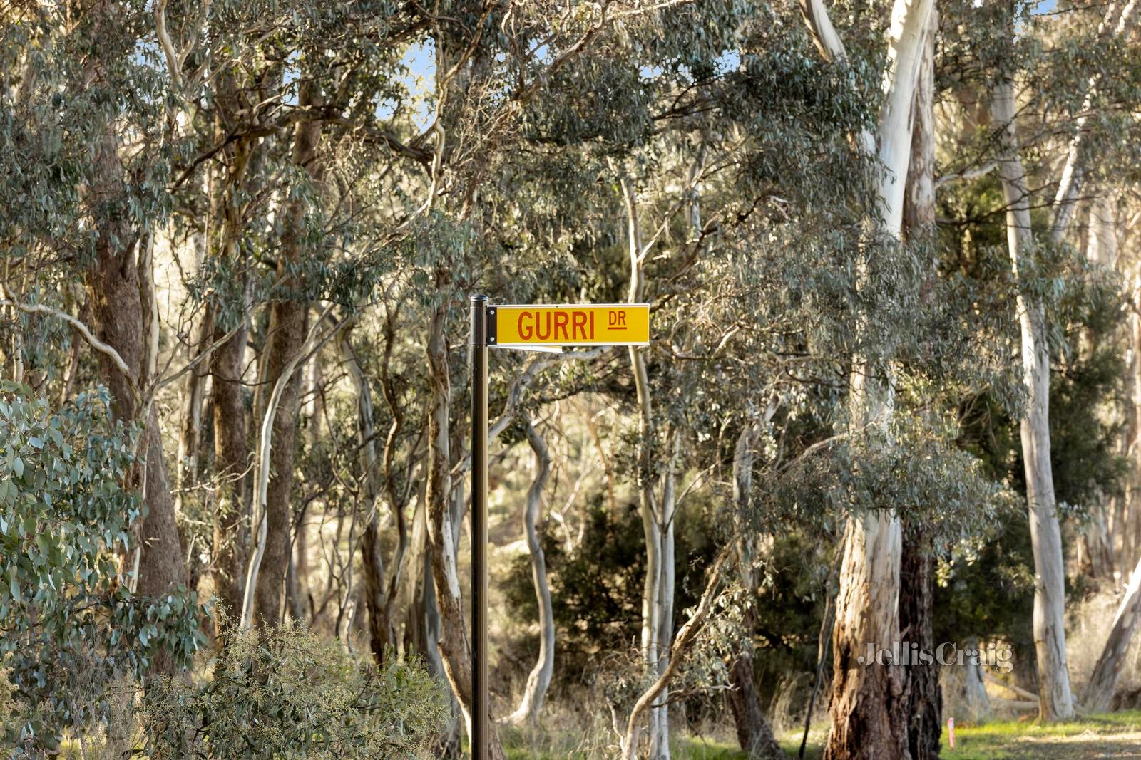 24 Gurri Drive, Campbells Creek image 4