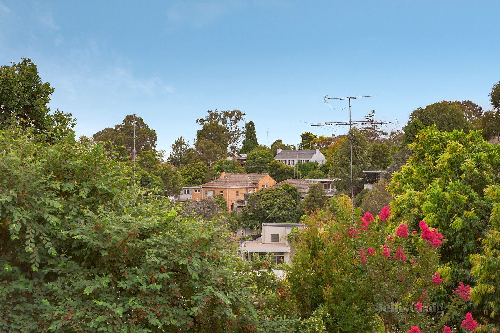 24 Holroyd Street, Kew image 10