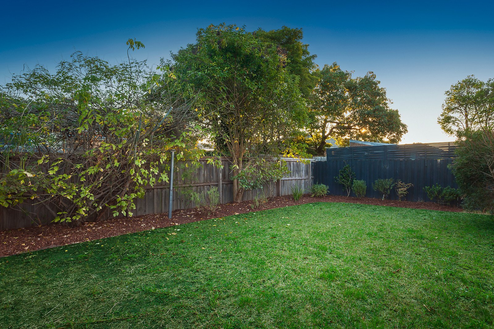 24 Judd Street, Camberwell image 6