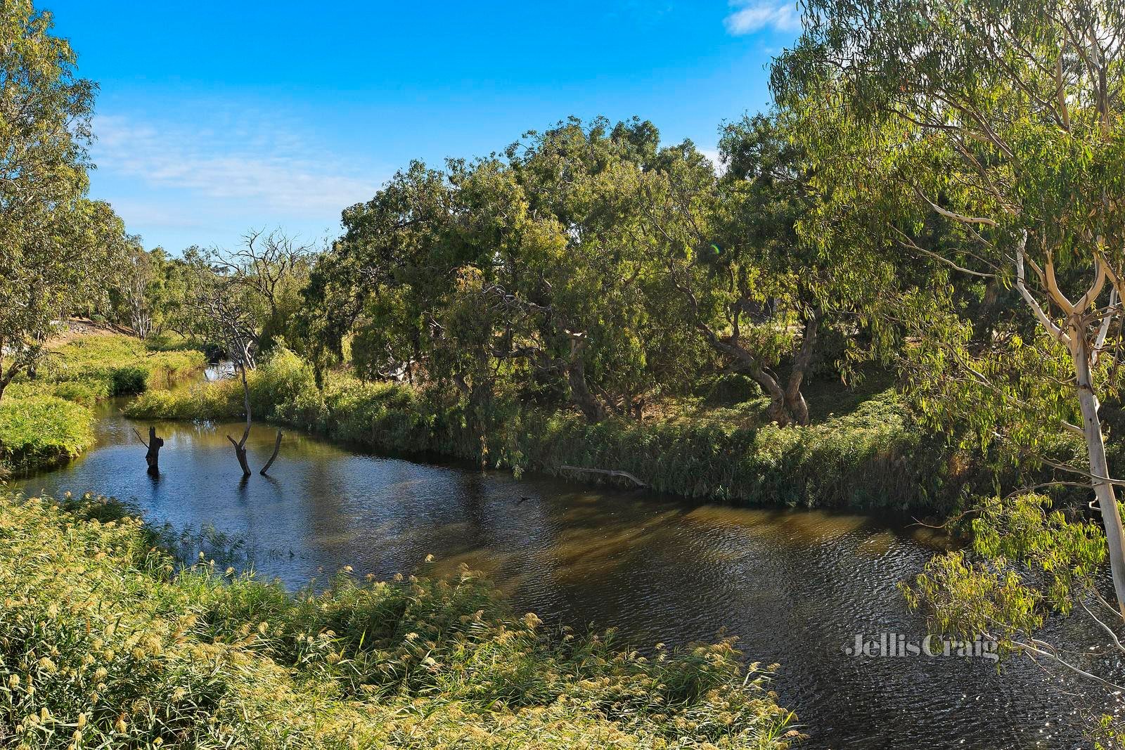 24 Longleaf Street, Fyansford image 3