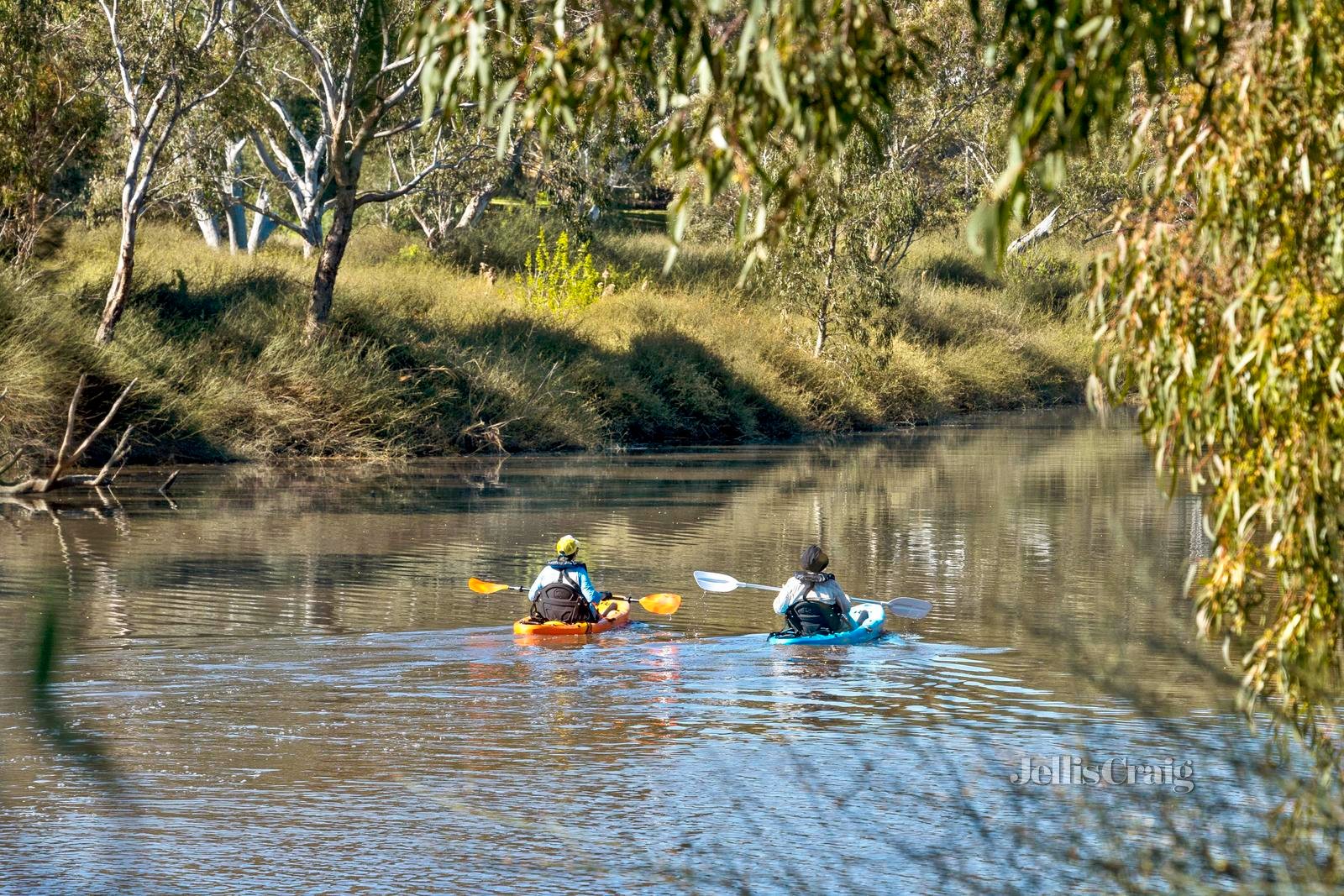 24 Longleaf Street, Fyansford image 9