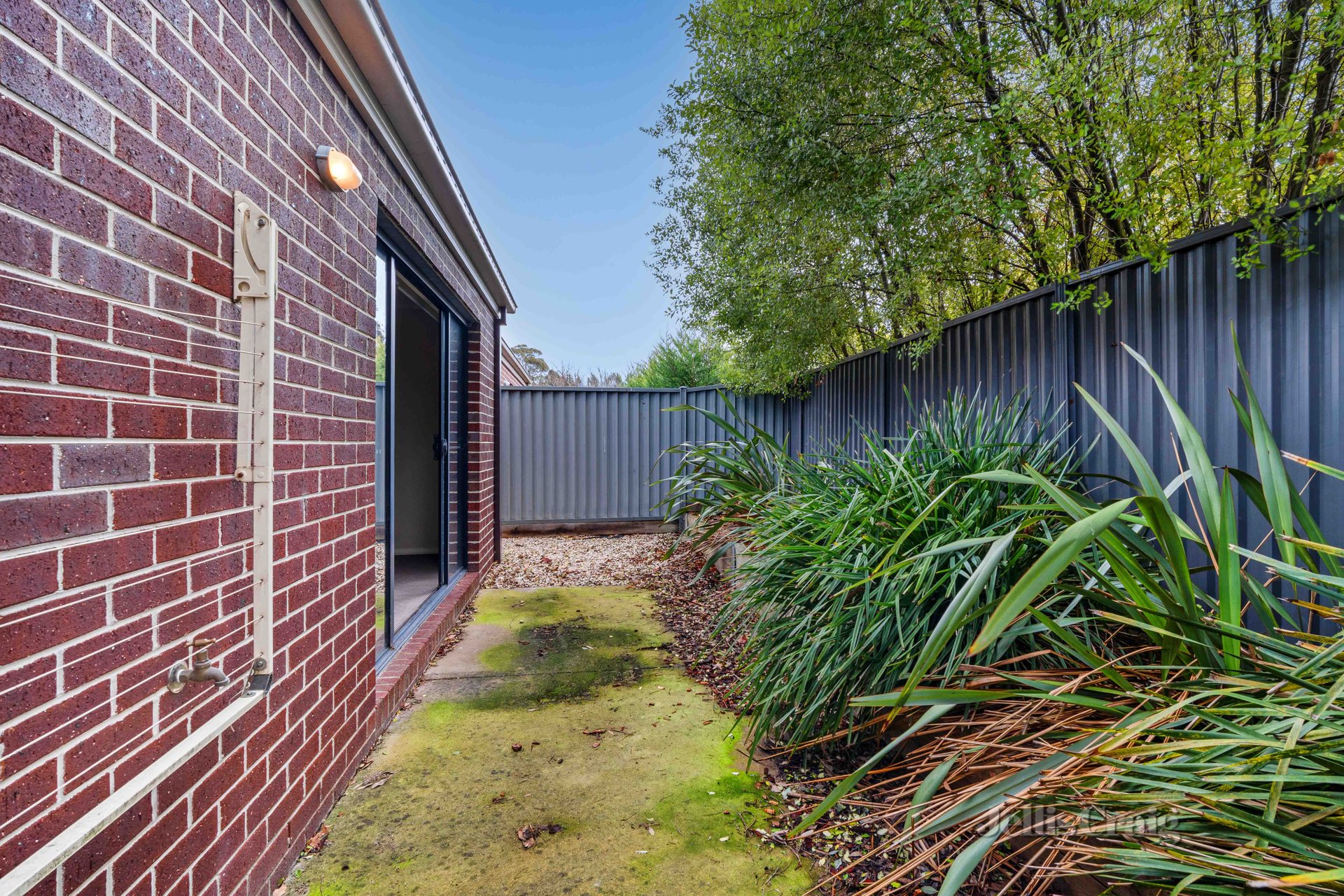 2/4 Maurie Paull Court, Mount Clear image 8