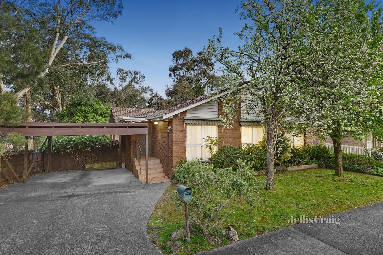 24 Morton Street, Box Hill South image 1