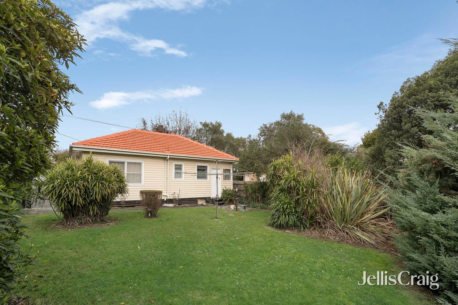 24 Niel Street, Croydon image 3