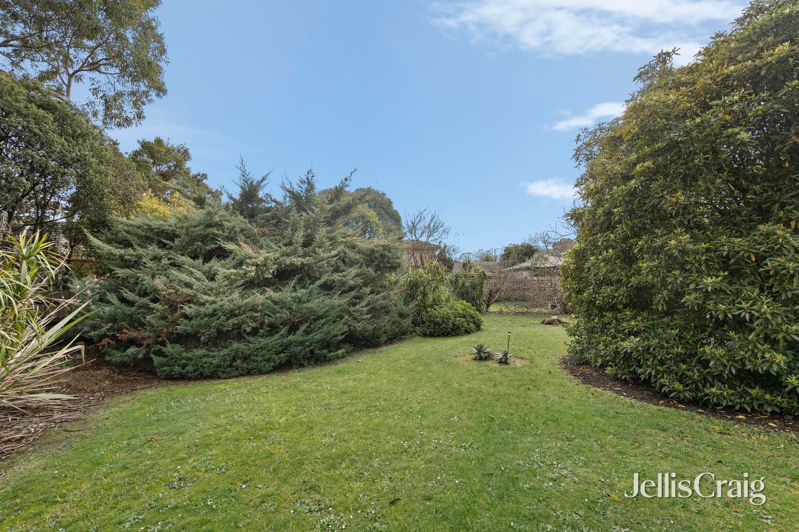 24 Niel Street, Croydon image 5