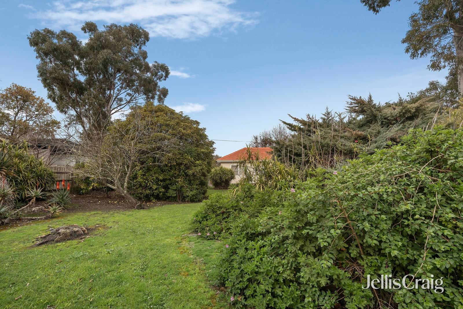 24 Niel Street, Croydon image 6