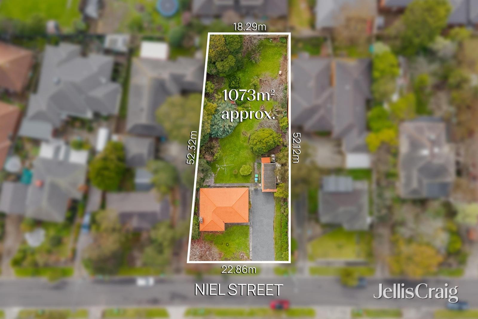 24 Niel Street, Croydon image 7