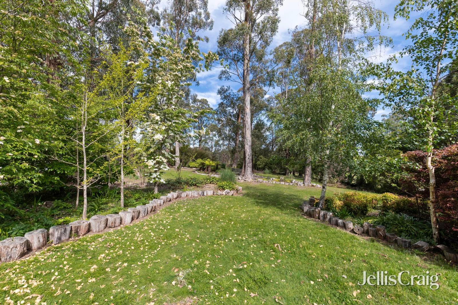 24 Pinchgut Lane, Kinglake image 5