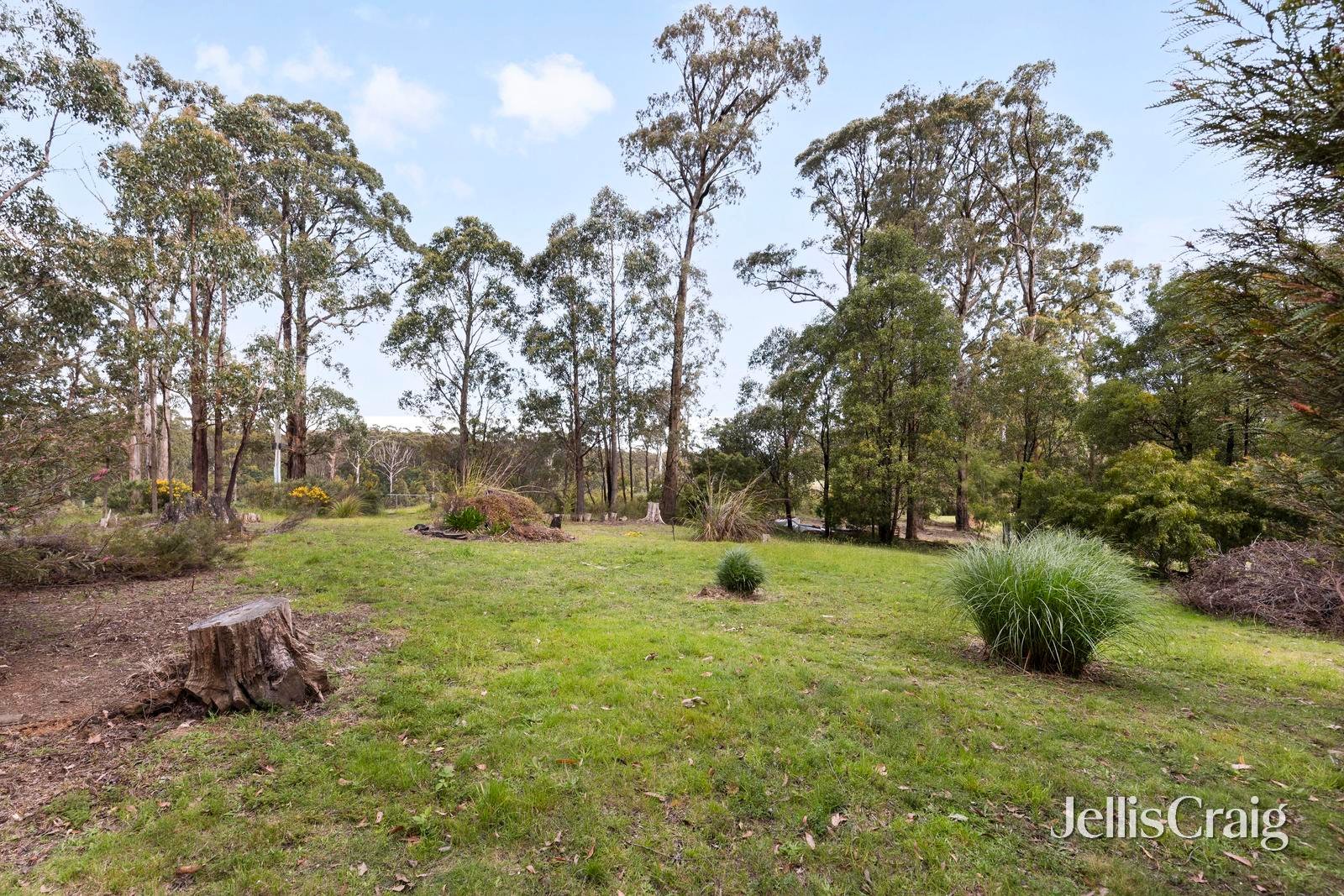 24 Pinchgut Lane, Kinglake image 17