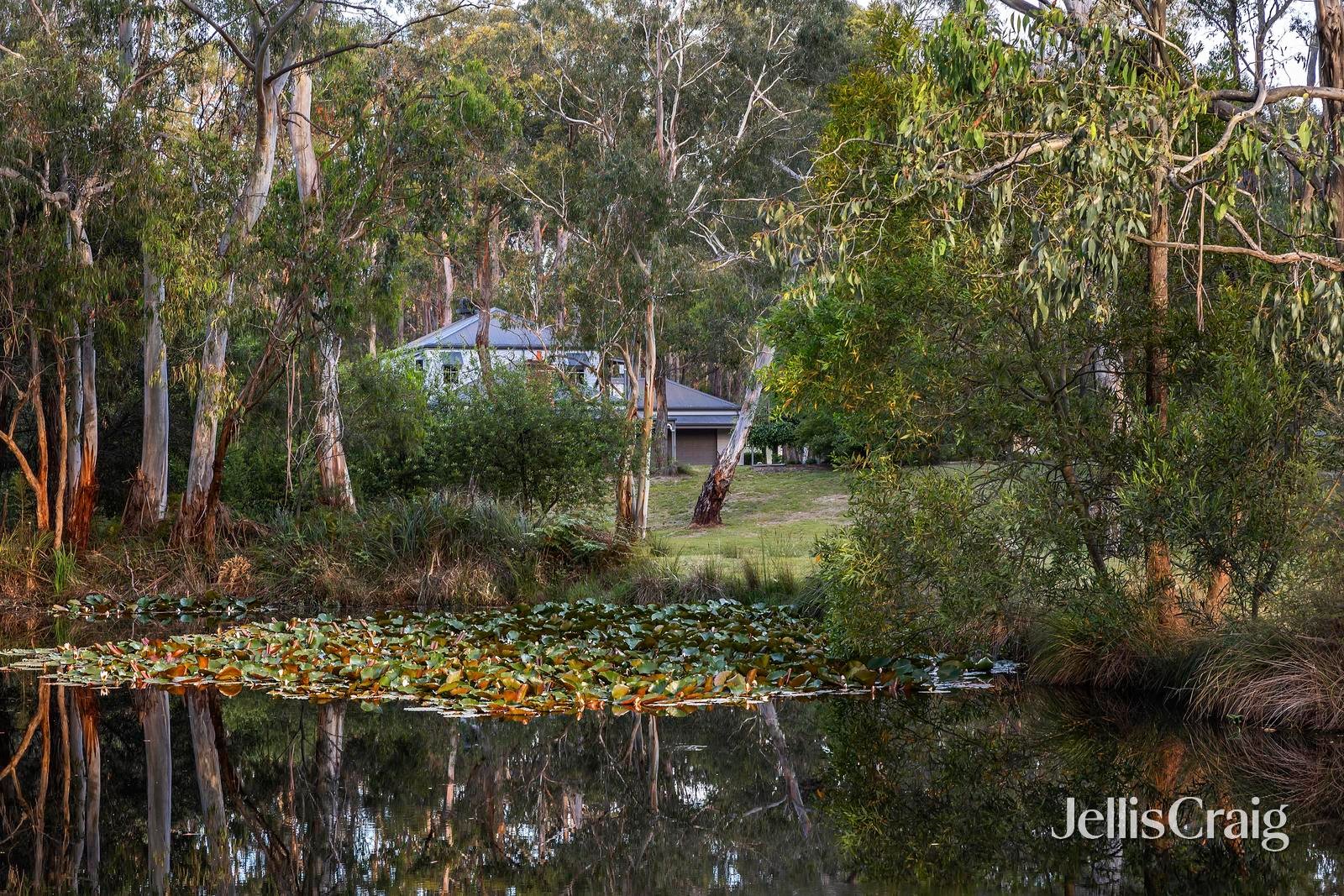 24 Rodger Road, Wandin&nbsp;North image 5