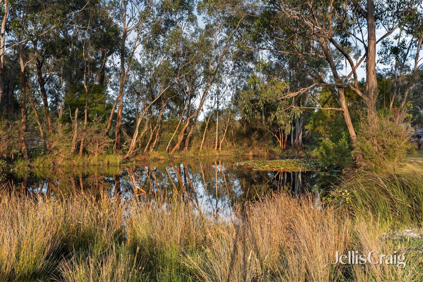 24 Rodger Road, Wandin&nbsp;North image 29