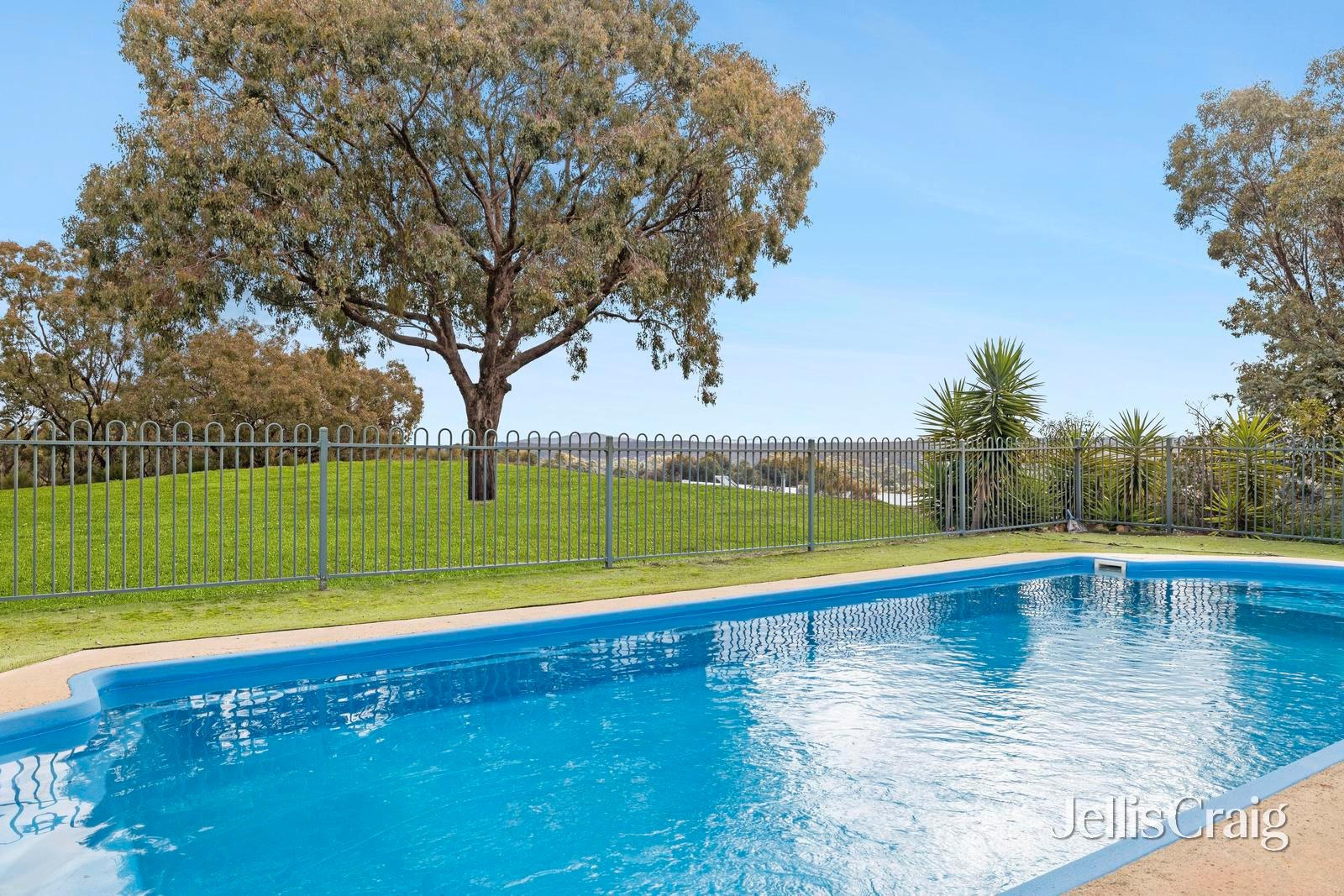 24 Ross Drive, Castlemaine image 16