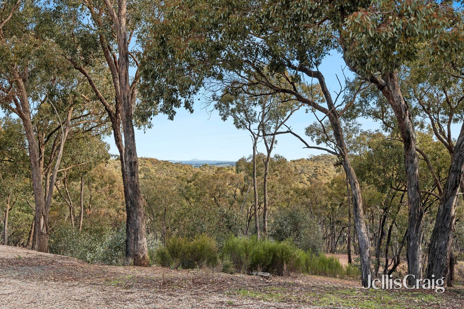 24 Ross Drive, Castlemaine image 21