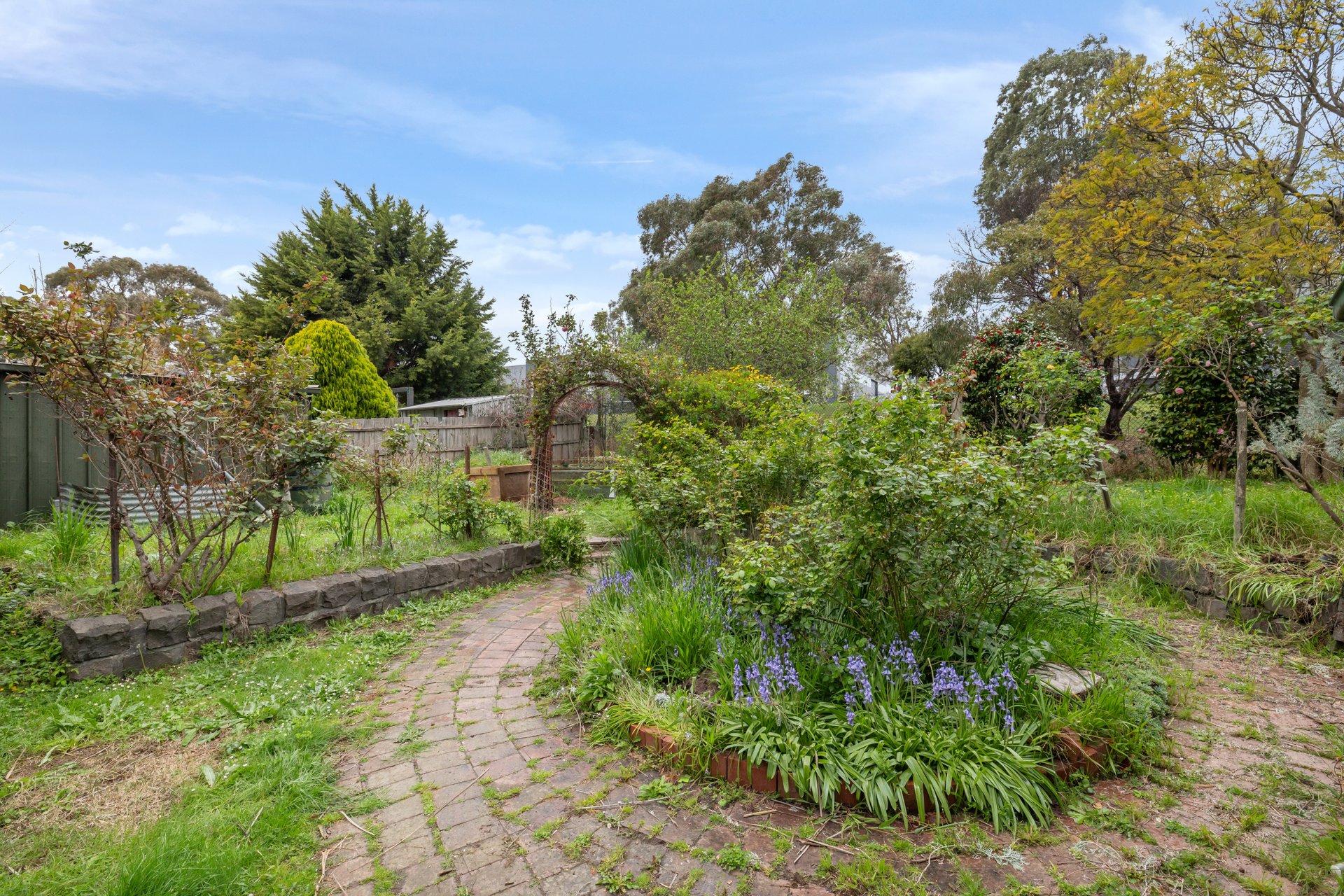 24 Sellick Drive, Croydon image 14