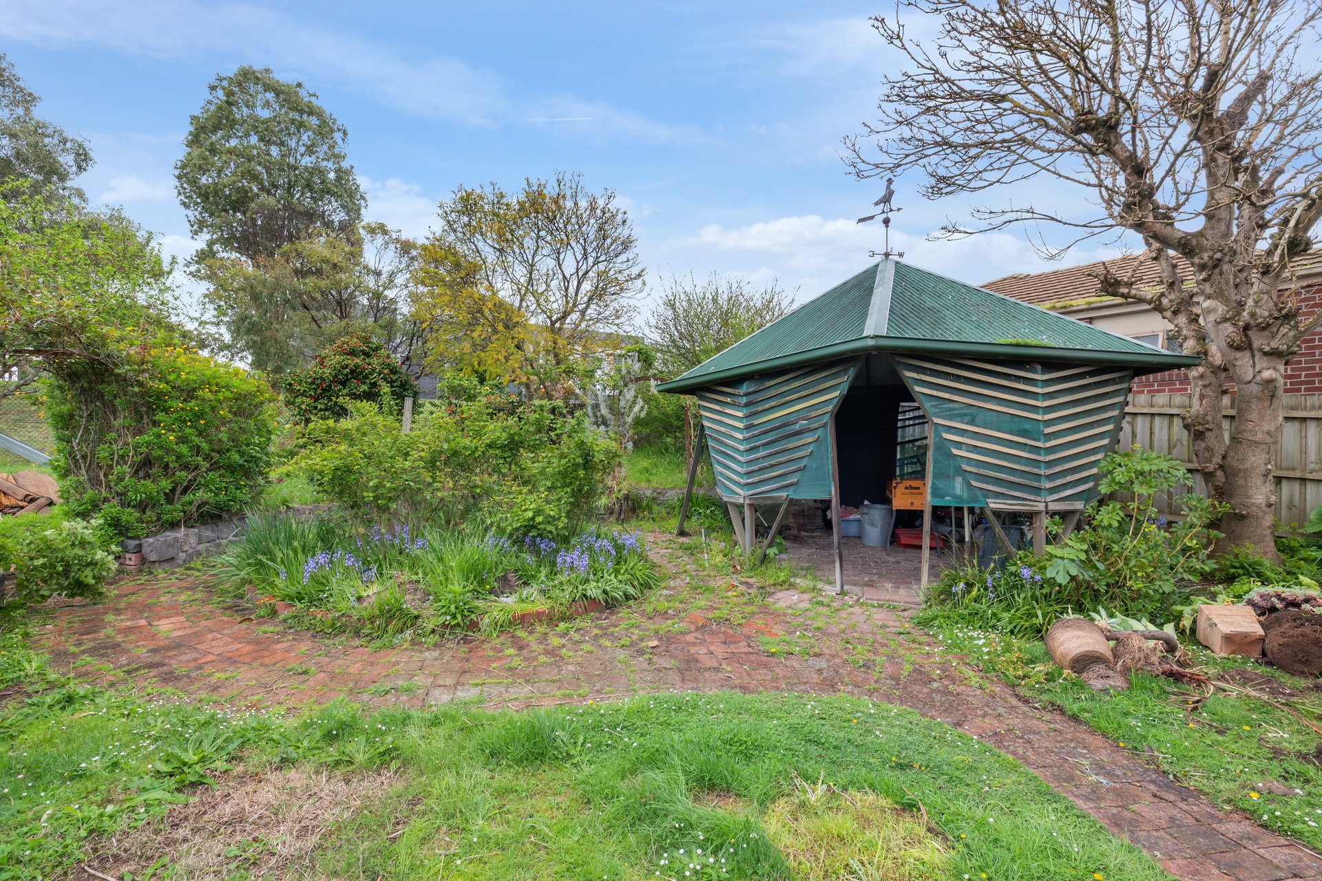 24 Sellick Drive, Croydon image 15