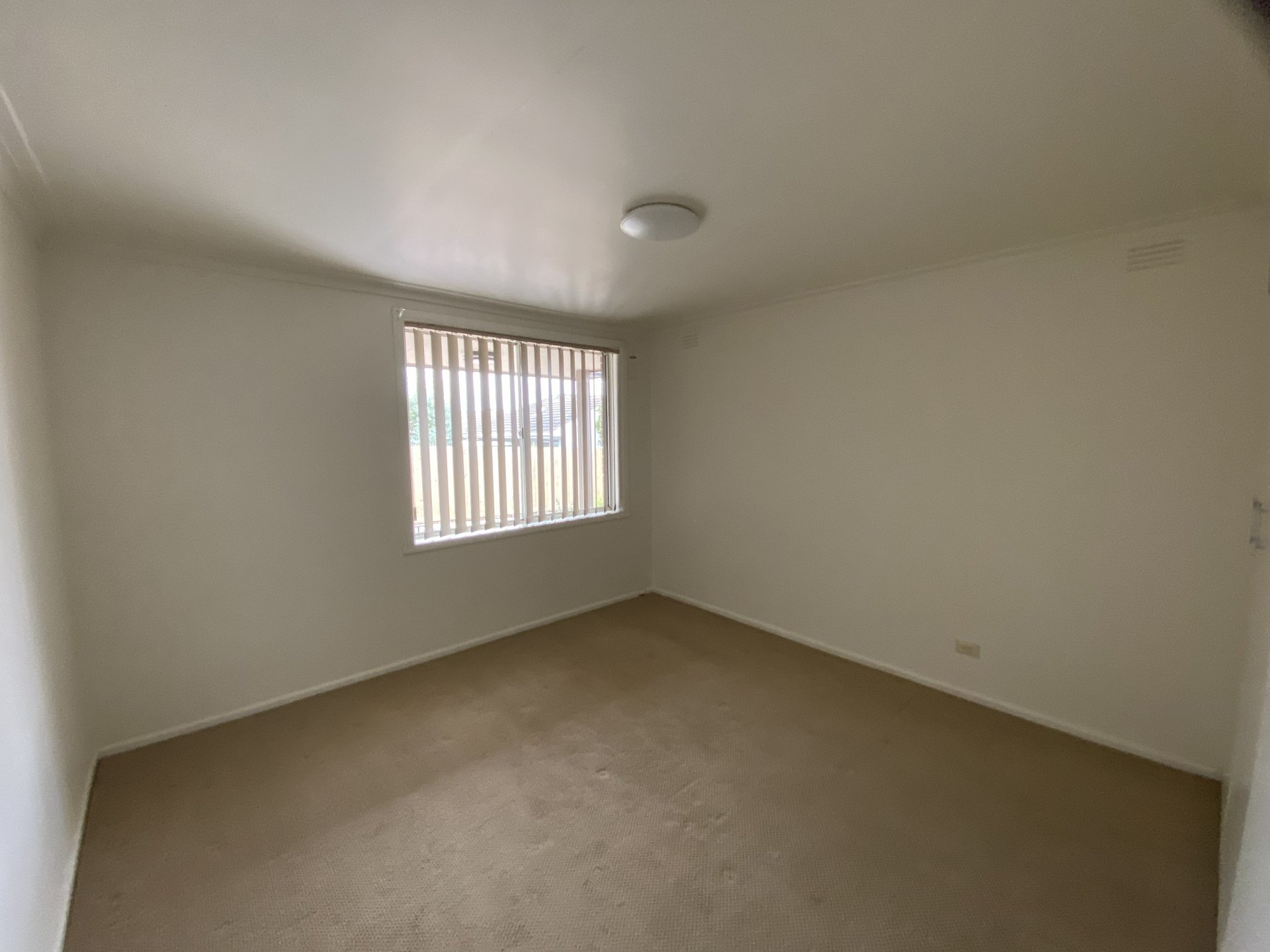 2/4 Simpsons Road, Box Hill image 6