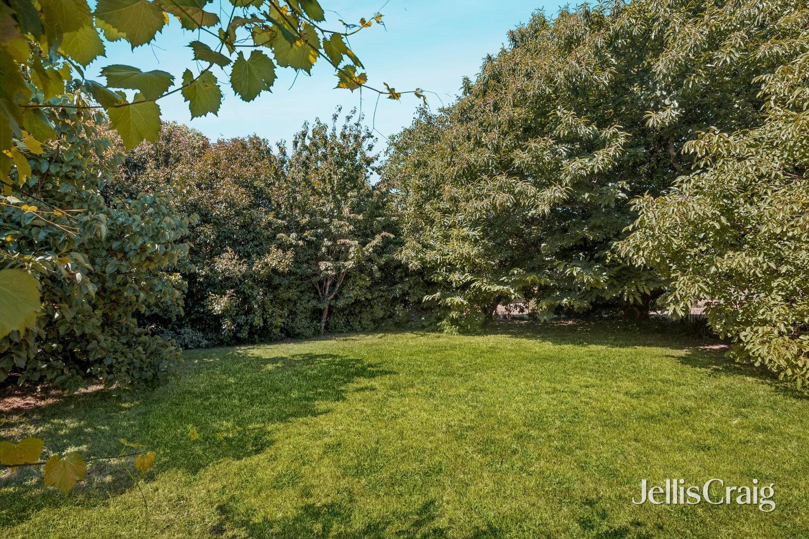 24 Spring Street, Glenlyon image 12