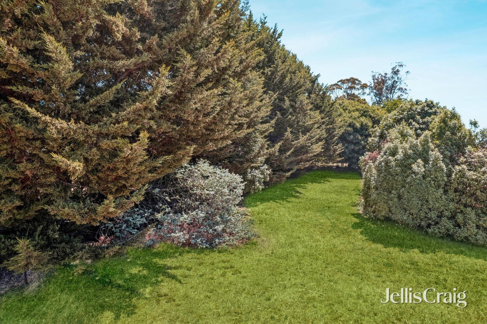 24 Spring Street, Glenlyon image 13