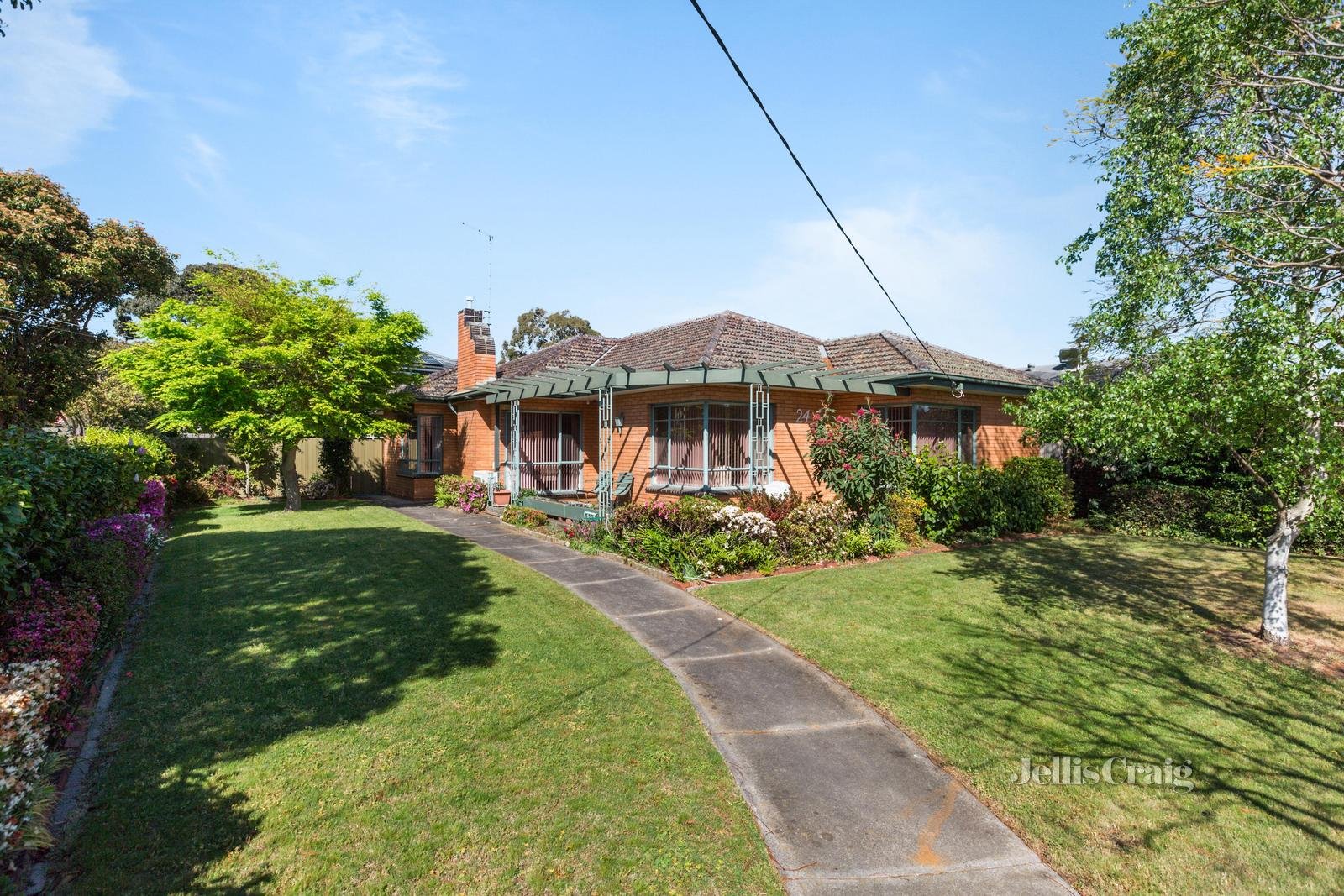 24 St Albans Street, Mount Waverley image 2