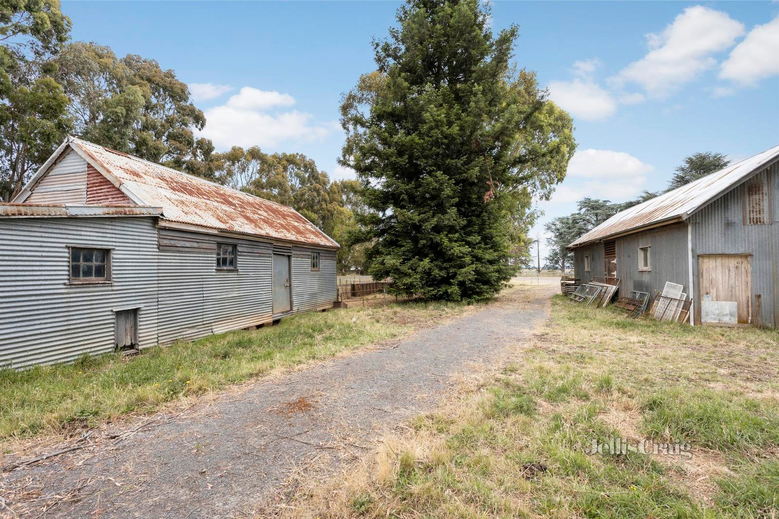 240 Daylesford Clunes Road, Blampied image 20