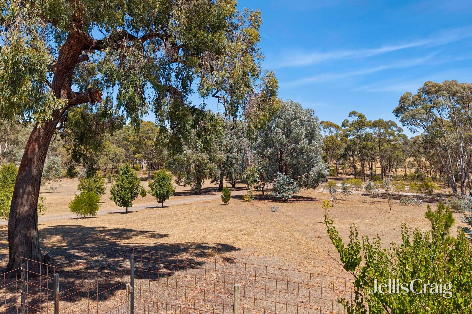 241 McGregors Road, Walmer image 14
