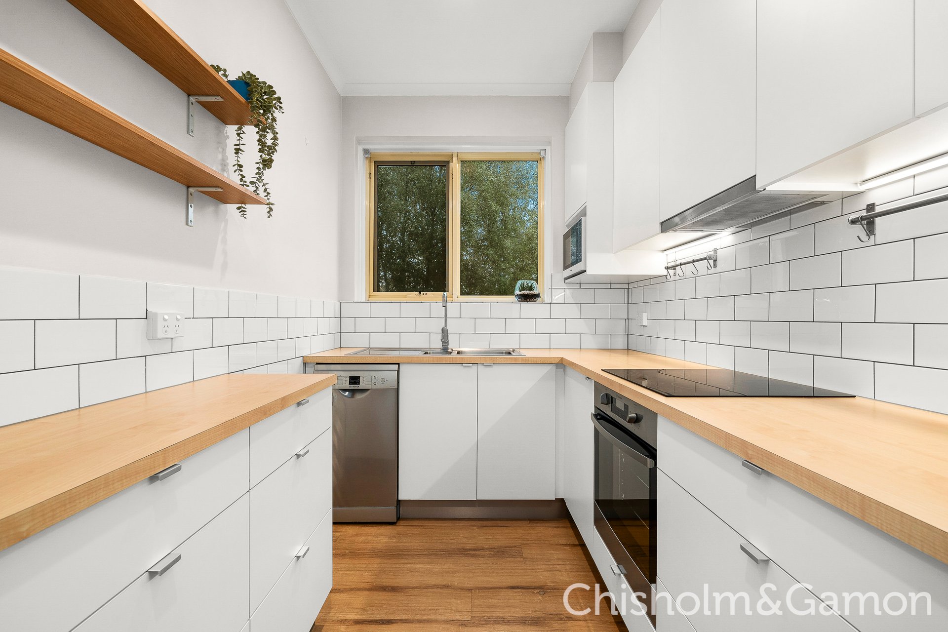 24/197 Brighton Road, Elwood image 1