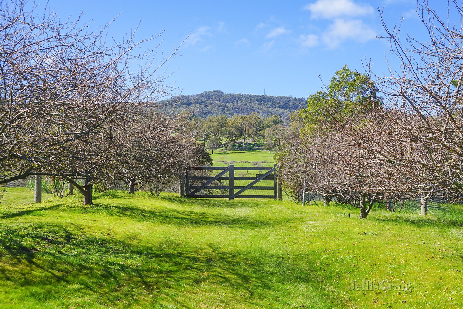 243 Reservoir Road, Harcourt image 11