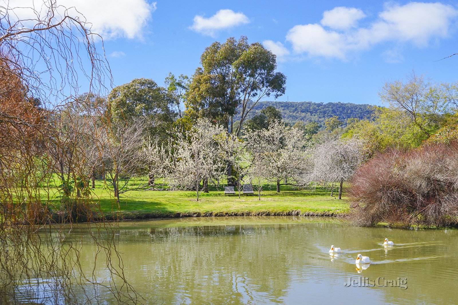 243 Reservoir Road, Harcourt image 14