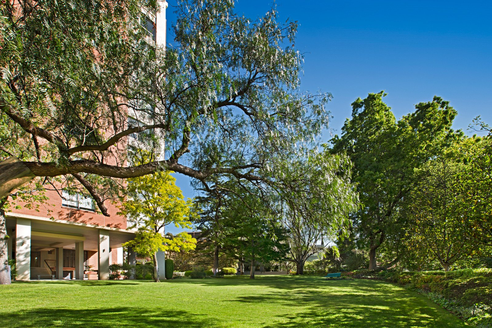 24/46 Lansell Road, Toorak image 6