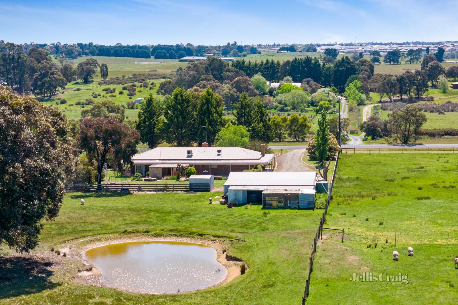 245 Bells Road, Smythes Creek image 5