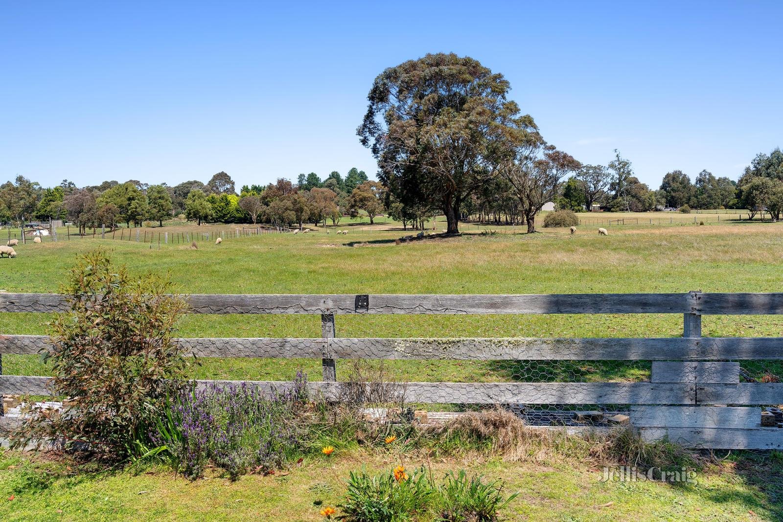 245 Bells Road, Smythes Creek image 19