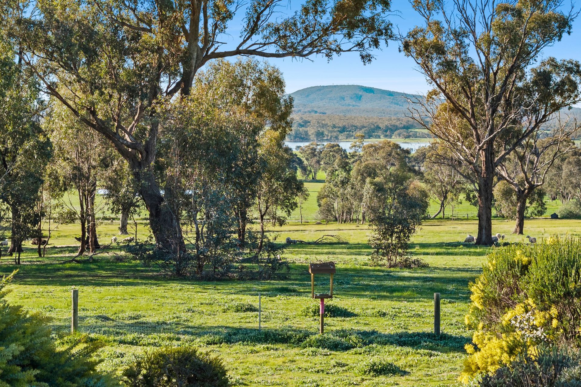 245 Clarke Lane, Newstead image 17