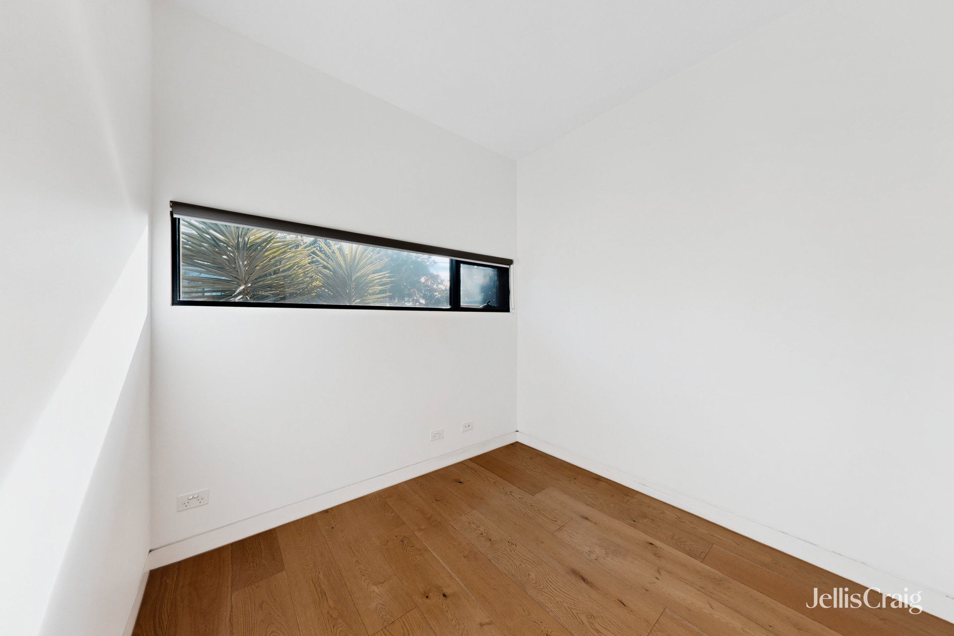 246A Patterson Road, Bentleigh image 7