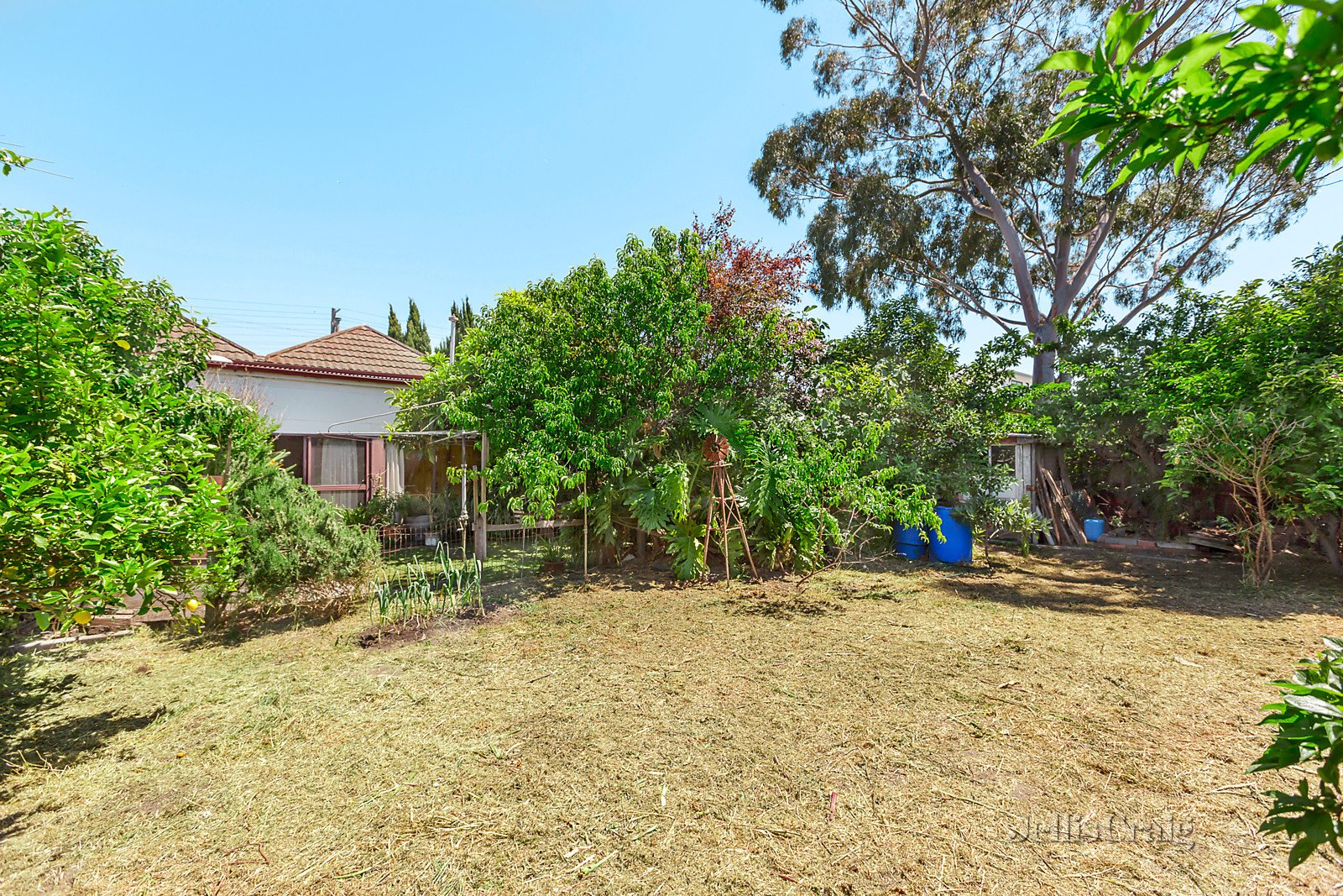 249 Arthur Street, Fairfield image 6